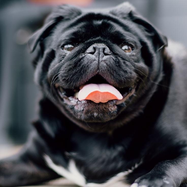 Nova Reyes, Client Relations Director, discussing corporate gifting strategy with business clients